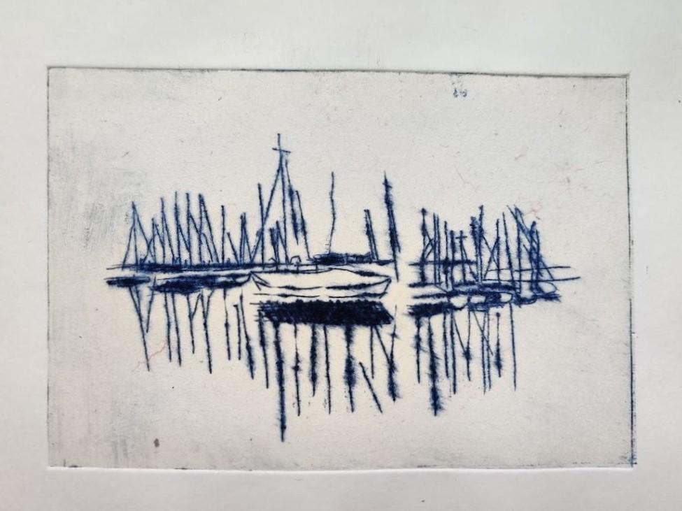 monotype algues bleues