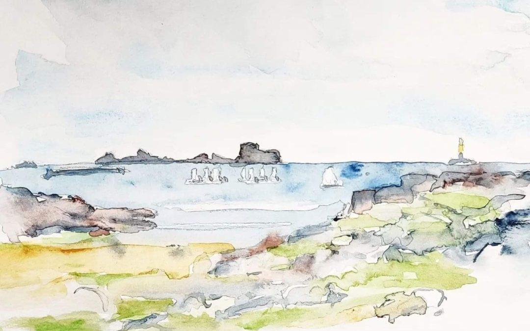 Saint Malo vue de La Conchée