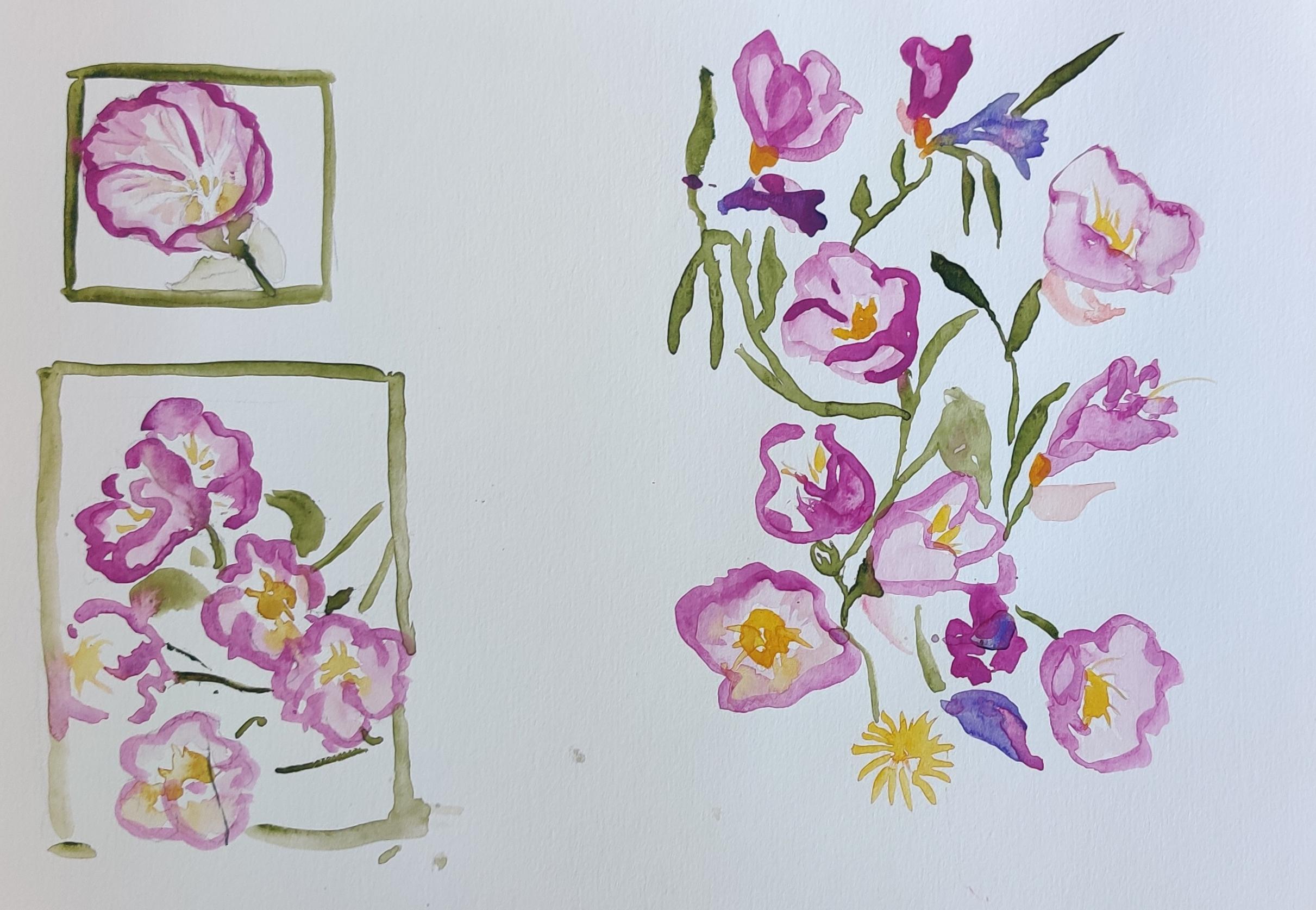 étude de fleurs, aquarelle
